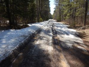 snowy road