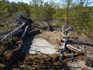 5 rod Island river portage