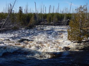 Isabella river rapids 2