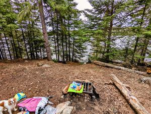 Lunch Spot