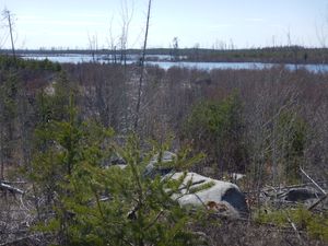 Isabella River overlook