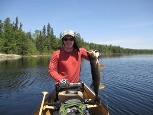 Nice walleye