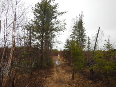 Pow-Wow trail
