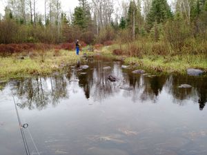 Pond off of Burnt