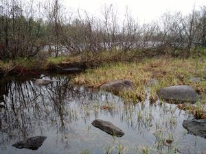 Pond off of burnt2