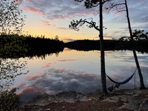 Lonely hammock