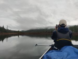 Foggy Royal River