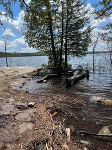 Campsite 1619