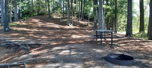 Fishtrap-11 site (1)