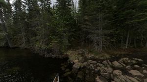 Round-Missing Link Portage