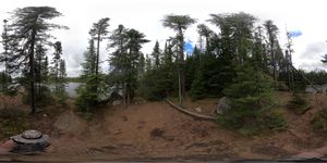 Campsite 556