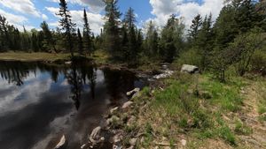 Portage to Chase - River End