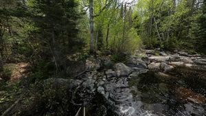 Portage to Chase - Chase End