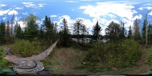 Campsite 2194