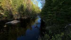 Afton to Fente Portage - Afton End