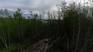 Little Saganaga Overlook