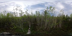 Campsite 486