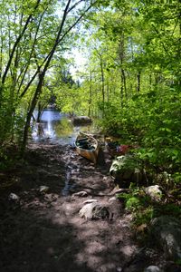 Bottle Portage