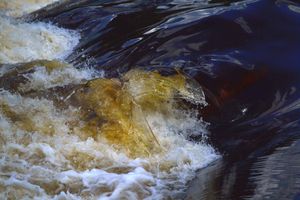Curtain Falls swirl