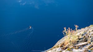 Cliff Side Views