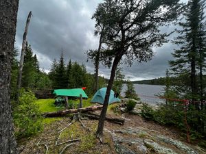 1EE campsite dead tree on left