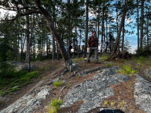 Agnes Mid Island Campsite