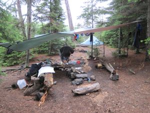 Campsite #570