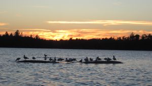 Sunset on Allice