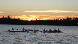 Sunset on Allice