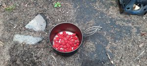 Berries to have with breakfast