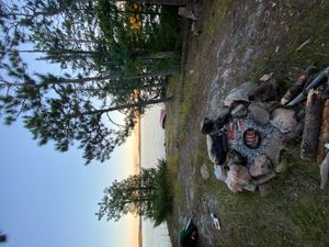 smallislandpickerel