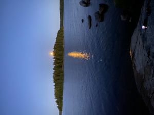 pickerel2