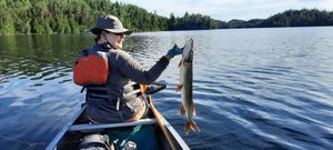 Open water pike