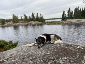 Site 9 Elton lake