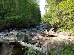 Little Splashy downstream