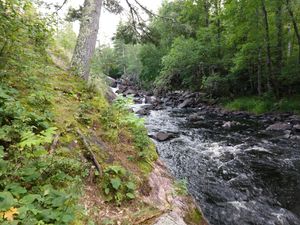 August Cascade
