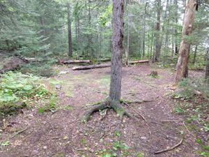 46 Tent Site 2