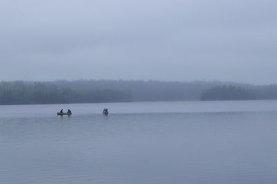 Foggy horse lake