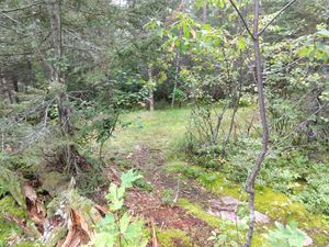 46 Tent site 3