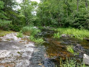 The creek