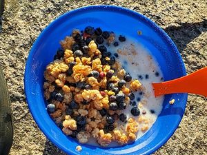 Fresh blueberry granola