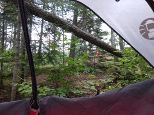 2214 View from tent