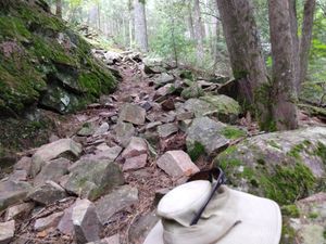 Little Splashy trail south