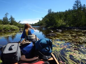 Alder narrows