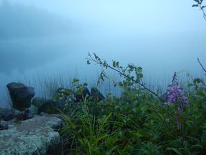 foggy morning