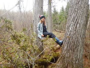 leaning on the big cedars