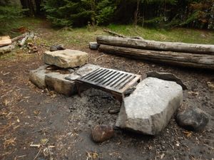 Meeds camp #615 fire grate