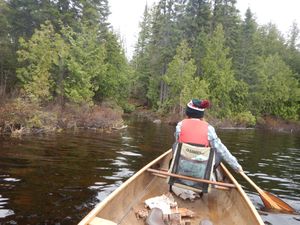 paddling up to the landing for portage into Swallow