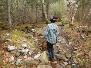 creek crossing