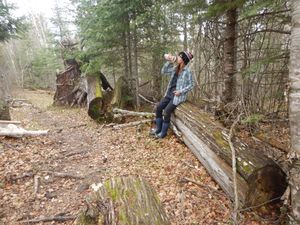 break at the big cedar bench